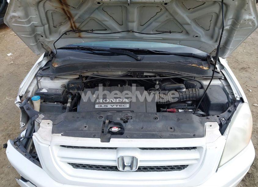 Photo 10 of 2005 Honda Pilot EX-L (VIN 5FNYF18555B020678)