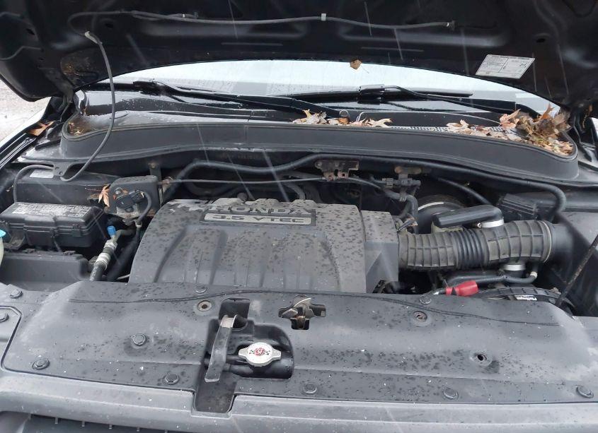 Photo 10 of 2005 Honda Pilot EXL (VIN 5FNYF18555B034127)