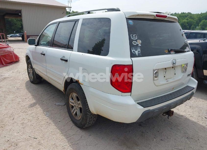 Photo 3 of 2004 Honda Pilot EX-L (VIN 5FNYF18564B008618)