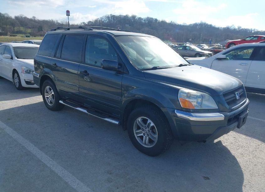 2005 Honda Pilot EX-L (VIN 5FNYF18565B004439) main photo