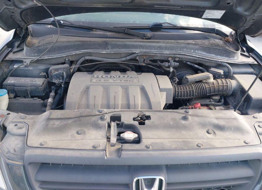 Photo 10 of 2005 Honda Pilot EX-L (VIN 5FNYF18565B004439)