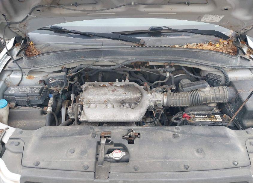 Photo 10 of 2005 Honda Pilot EX-L (VIN 5FNYF18565B034881)