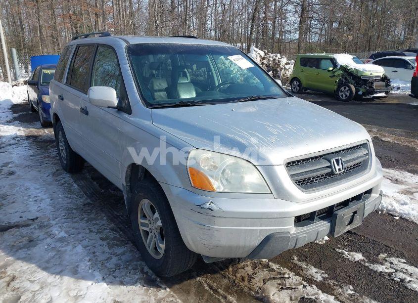 2005 Honda Pilot EX-L (VIN 5FNYF18565B063068) main photo