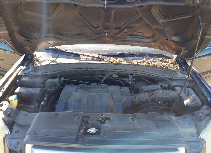 Photo 10 of 2006 Honda Pilot EX-L (VIN 5FNYF18566B002093)