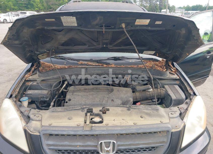 Photo 10 of 2004 Honda Pilot EX-L (VIN 5FNYF18574B008241)