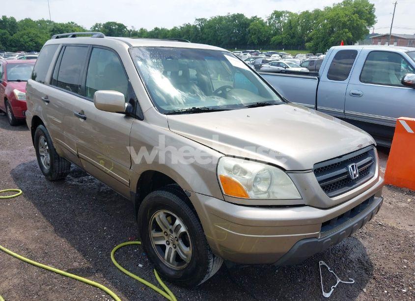2005 Honda Pilot EX-L (VIN 5FNYF18575B018088) main photo