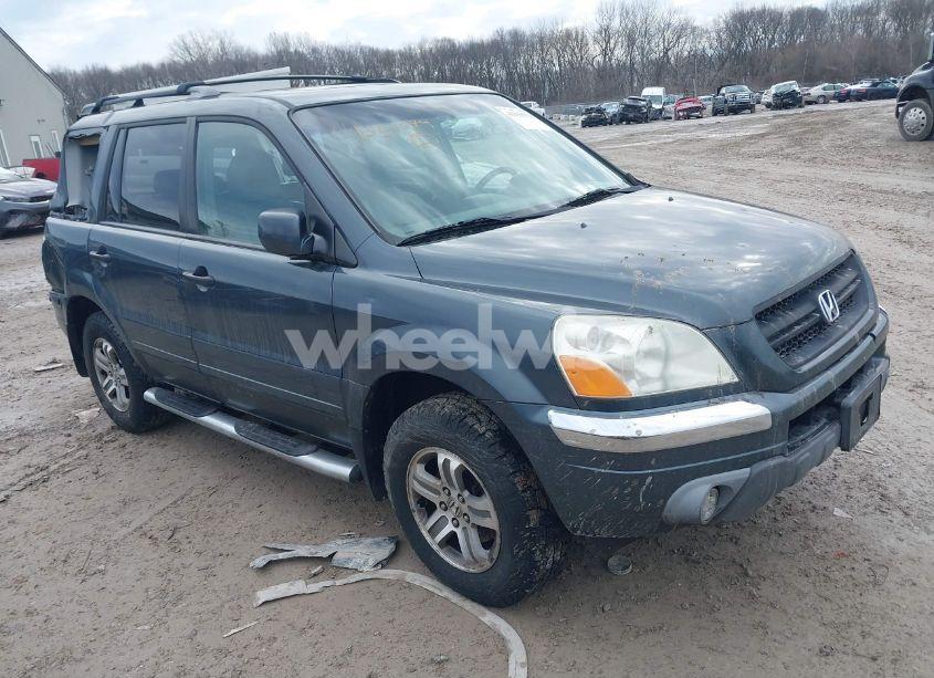 2005 Honda Pilot EX-L (VIN 5FNYF18575B068442) main photo