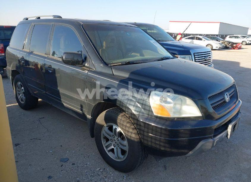 2005 Honda Pilot EX-L (VIN 5FNYF18585B012638) main photo