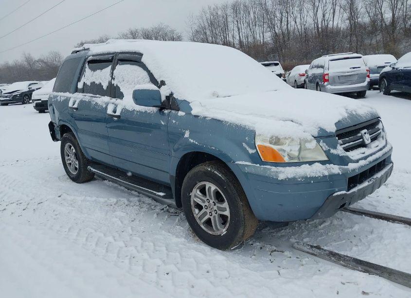 2005 Honda Pilot EX-L (VIN 5FNYF18585B045428) main photo