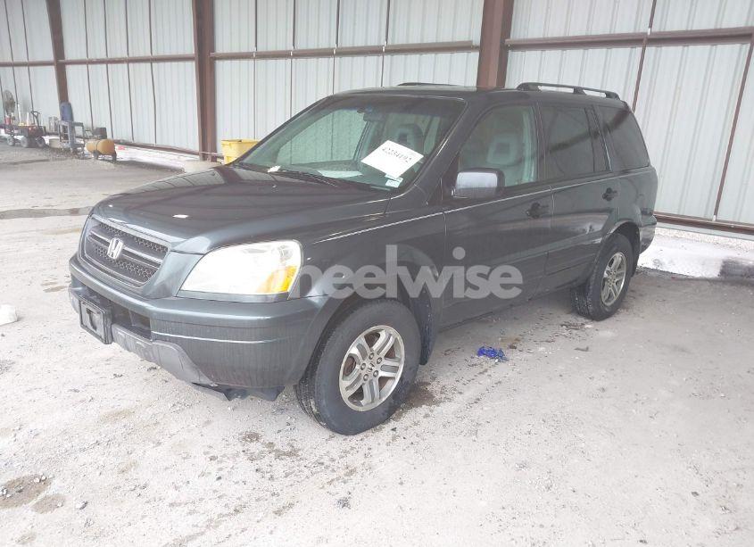 Photo 2 of 2005 Honda Pilot EX-L (VIN 5FNYF18585B055263)