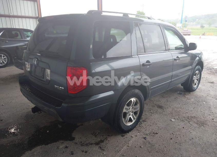 Photo 4 of 2005 Honda Pilot EX-L (VIN 5FNYF18585B055263)