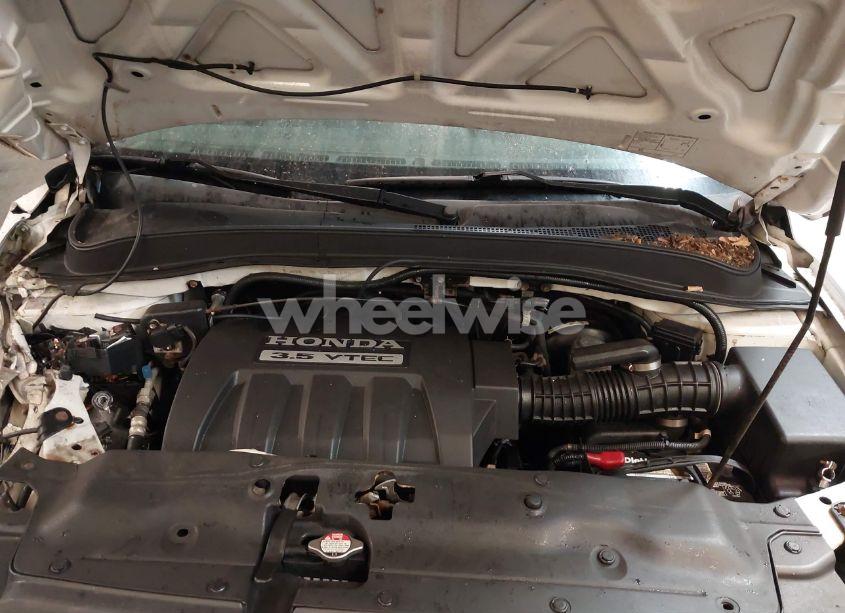 Photo 10 of 2005 Honda Pilot EX-L (VIN 5FNYF18585B057899)