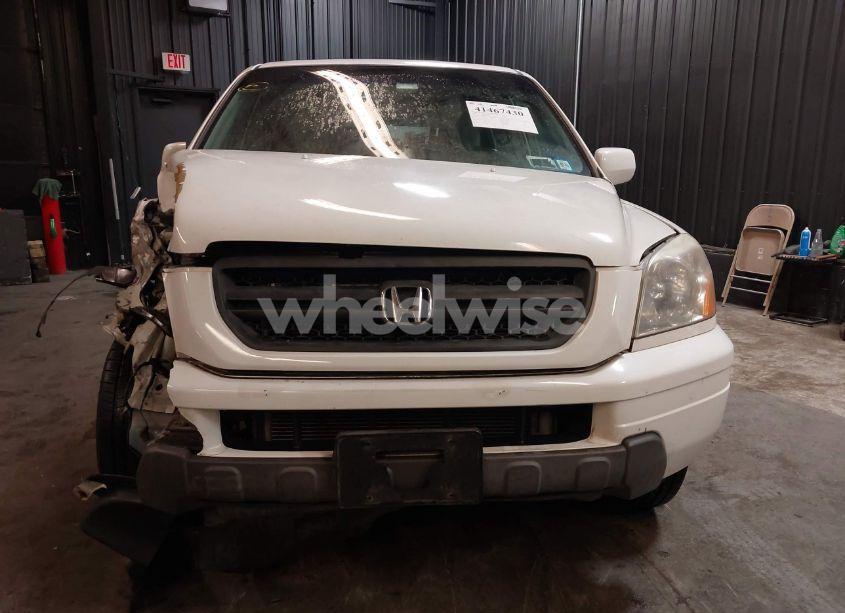 Photo 11 of 2005 Honda Pilot EX-L (VIN 5FNYF18585B057899)