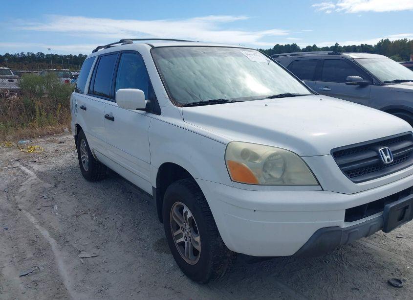 2005 Honda Pilot EX-L (VIN 5FNYF18595B007917) main photo
