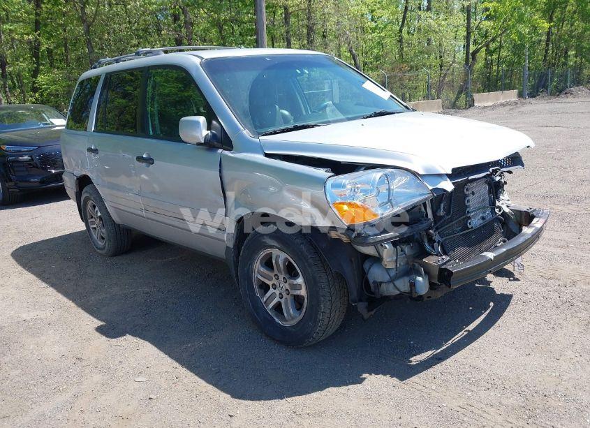 2005 Honda Pilot EX-L (VIN 5FNYF18595B009702) main photo