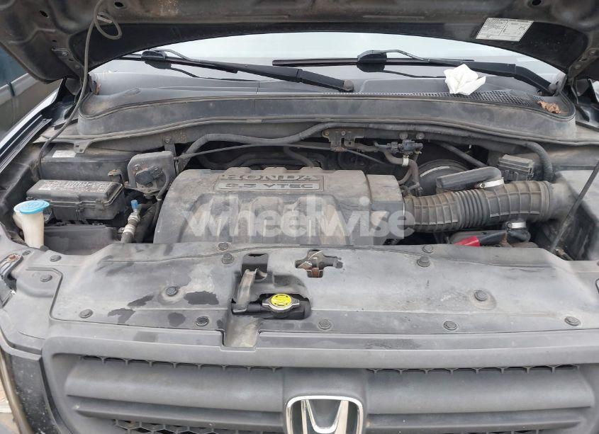 Photo 10 of 2005 Honda Pilot EX-L (VIN 5FNYF18595B040965)