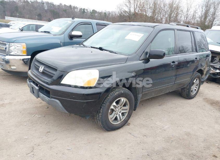 Photo 2 of 2005 Honda Pilot EX-L (VIN 5FNYF18595B040965)