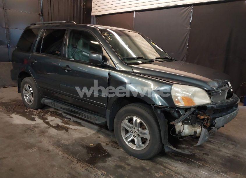 2005 Honda Pilot EX-L (VIN 5FNYF18595B045499) main photo