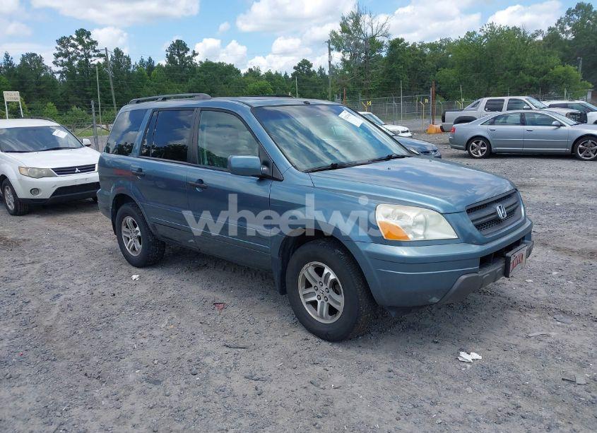 2005 Honda Pilot EX-L (VIN 5FNYF18595B050248) main photo