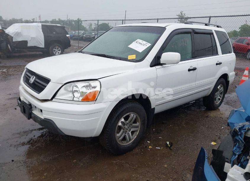 Photo 2 of 2005 Honda Pilot EX-L (VIN 5FNYF18595B052324)