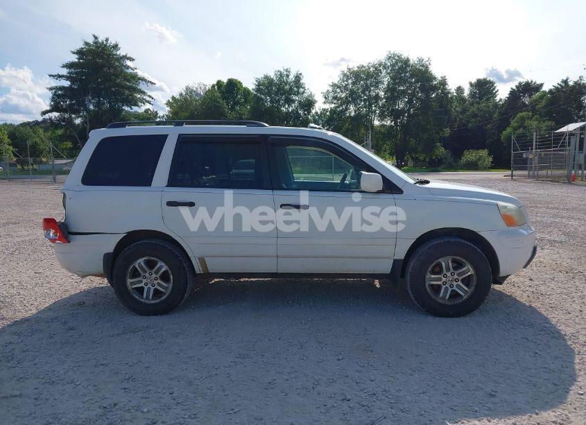 Photo 13 of 2005 Honda Pilot EX-L (VIN 5FNYF185X5B012415)