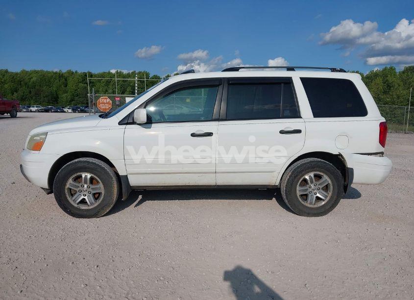 Photo 14 of 2005 Honda Pilot EX-L (VIN 5FNYF185X5B012415)
