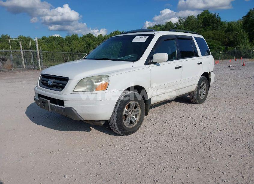 Photo 2 of 2005 Honda Pilot EX-L (VIN 5FNYF185X5B012415)