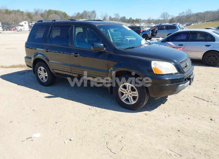 2005 Honda Pilot EX-L (VIN 5FNYF185X5B016318) main photo
