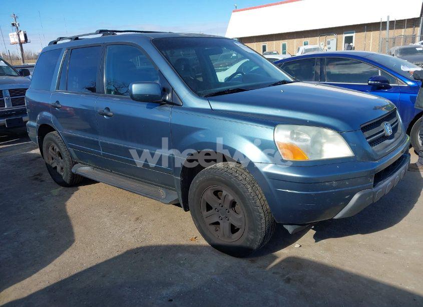 2005 Honda Pilot EX-L (VIN 5FNYF185X5B041557) main photo