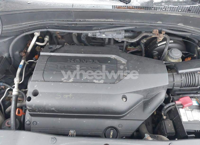 Photo 10 of 2004 Honda Pilot EX-L (VIN 5FNYF18604B005657)