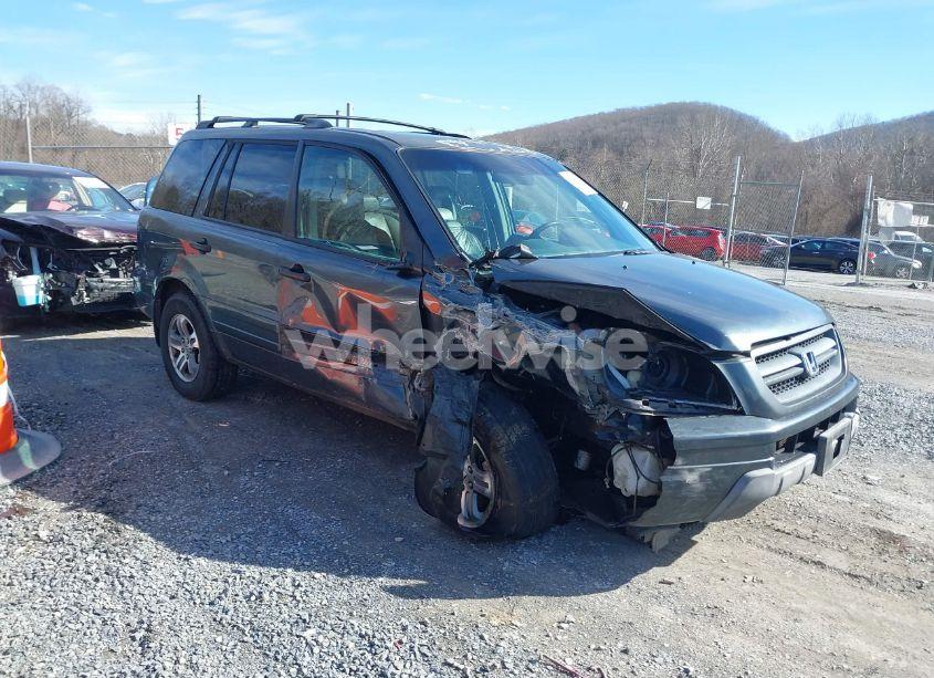 2005 Honda Pilot EX-L (VIN 5FNYF18605B055105) main photo