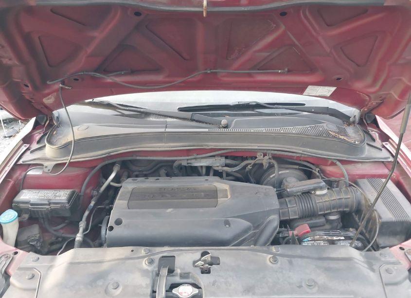 Photo 10 of 2004 Honda Pilot EX-L (VIN 5FNYF18614B003254)