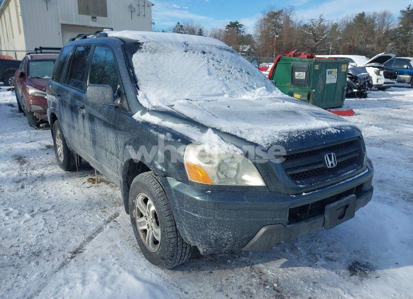 Photo 6 of 2005 Honda Pilot EX-L (VIN 5FNYF18615B031315)