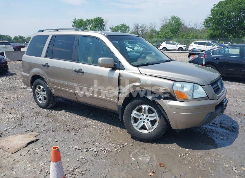 2005 Honda Pilot EX-L (VIN 5FNYF18615B032254) main photo