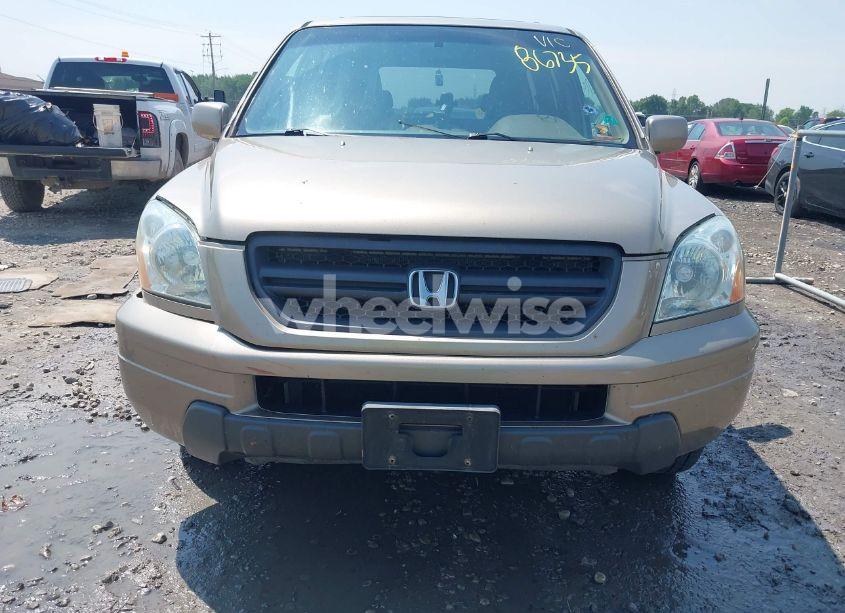 Photo 12 of 2005 Honda Pilot EX-L (VIN 5FNYF18615B032254)