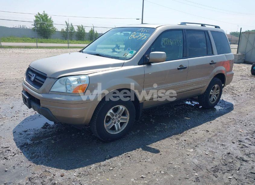 Photo 2 of 2005 Honda Pilot EX-L (VIN 5FNYF18615B032254)
