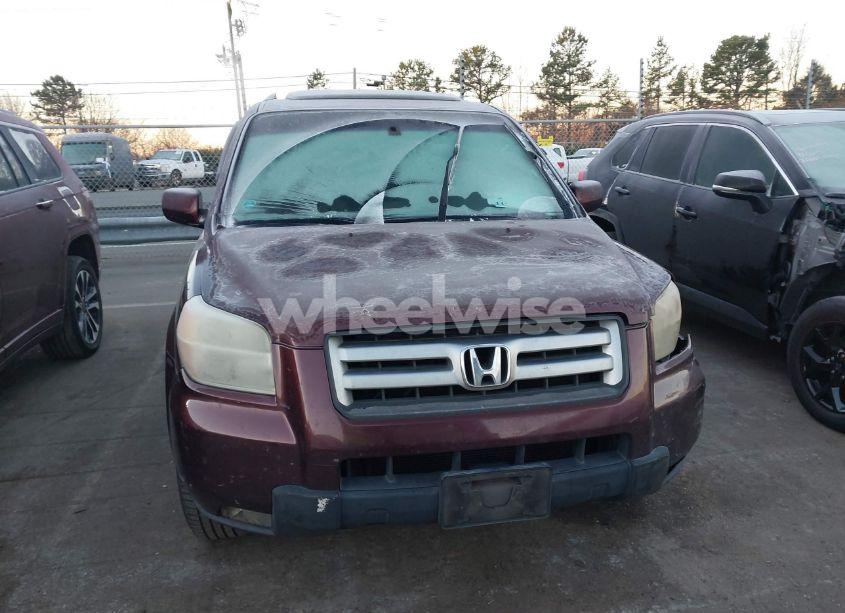 Photo 12 of 2007 Honda Pilot EX-L (VIN 5FNYF18627B002229)
