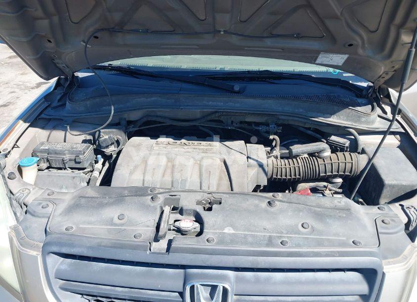 Photo 10 of 2005 Honda Pilot EX-L (VIN 5FNYF18645B032216)