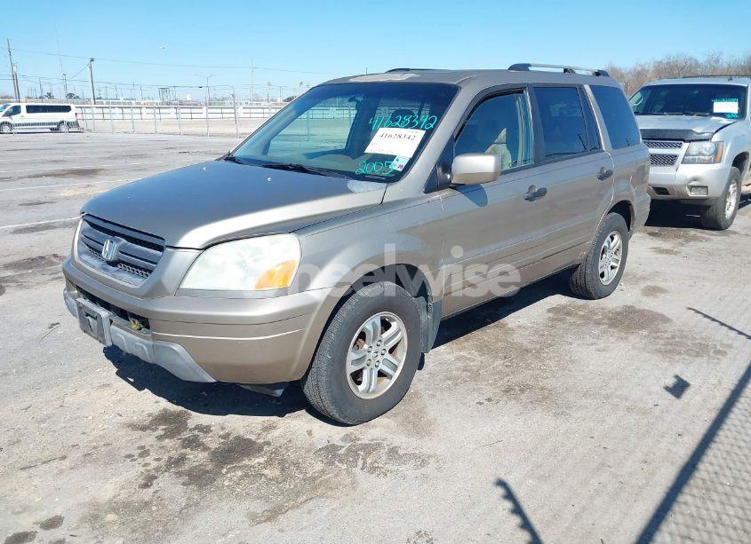 Photo 2 of 2005 Honda Pilot EX-L (VIN 5FNYF18645B032216)