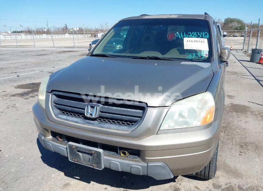 Photo 6 of 2005 Honda Pilot EX-L (VIN 5FNYF18645B032216)