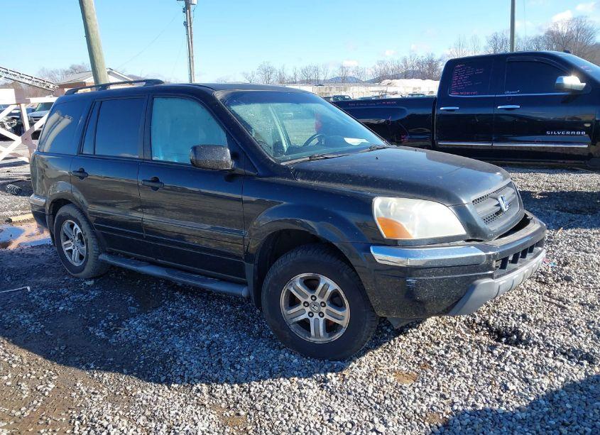 2005 Honda Pilot EX-L (VIN 5FNYF18655B015893) main photo