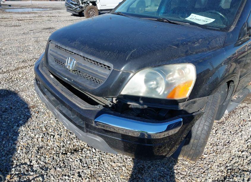 Photo 11 of 2005 Honda Pilot EX-L (VIN 5FNYF18655B015893)