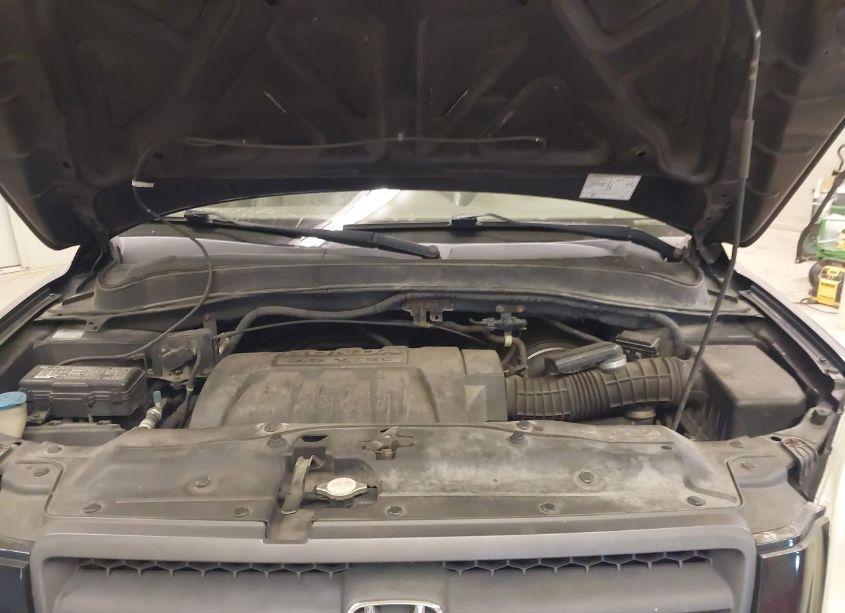 Photo 10 of 2005 Honda Pilot EX-L (VIN 5FNYF18685B007075)