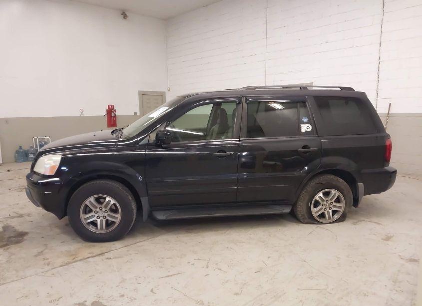 Photo 14 of 2005 Honda Pilot EX-L (VIN 5FNYF18685B007075)
