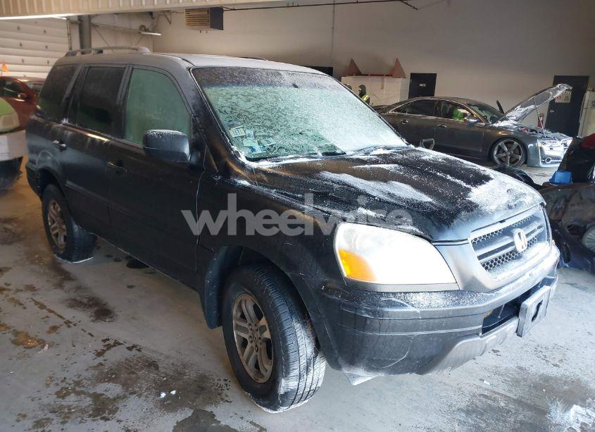2005 Honda Pilot EX-L (VIN 5FNYF18685B025219) main photo