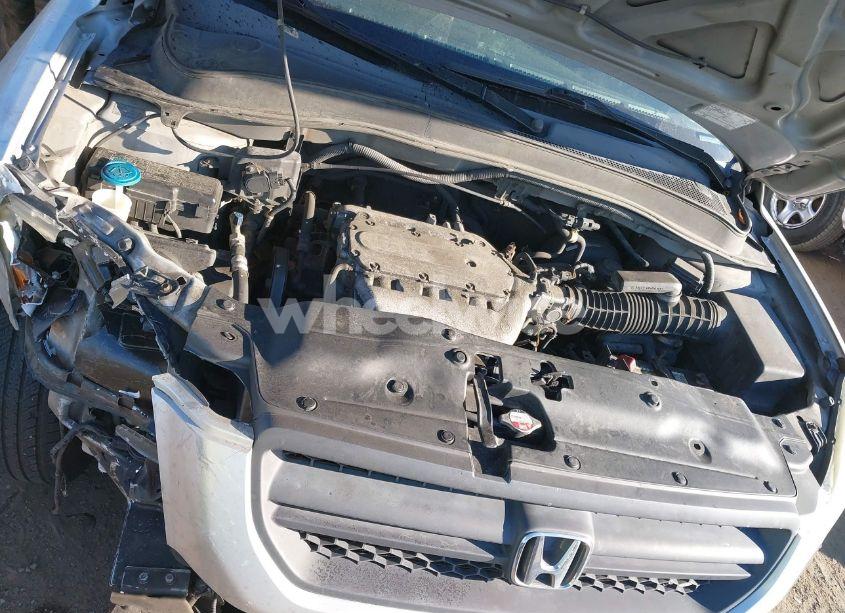 Photo 10 of 2005 Honda Pilot EX-L (VIN 5FNYF18695B009403)