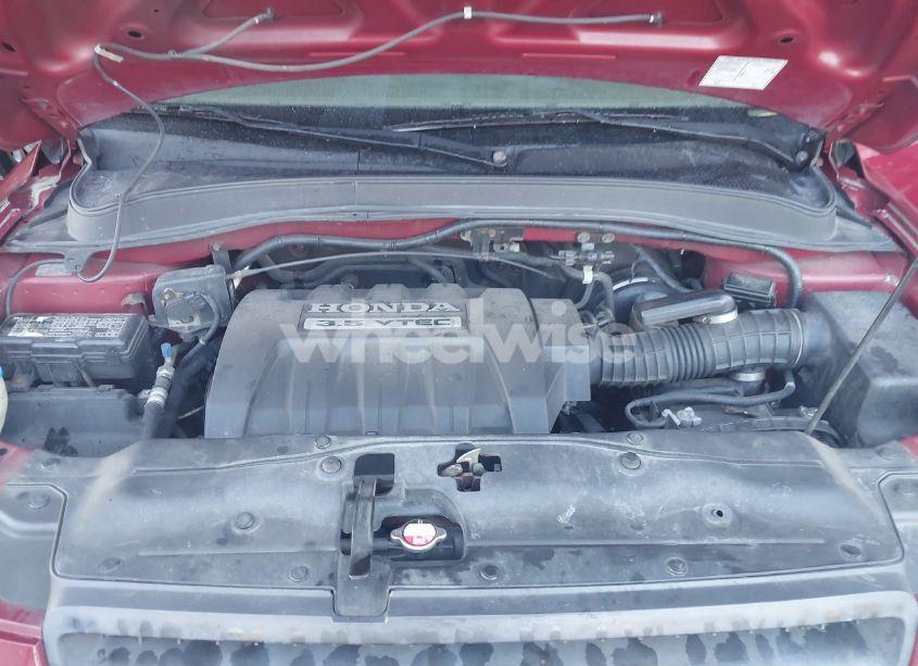 Photo 10 of 2005 Honda Pilot EX-L (VIN 5FNYF18695B015119)