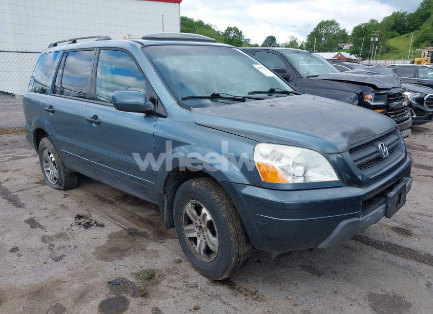 2005 Honda Pilot EX-L (VIN 5FNYF18695B043728) main photo