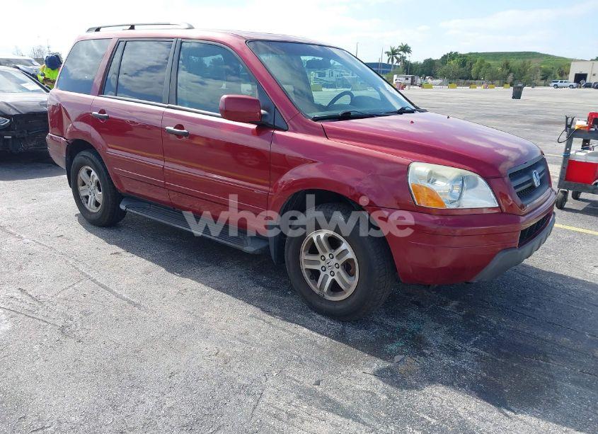 2005 Honda Pilot EX-L (VIN 5FNYF186X5B028381) main photo