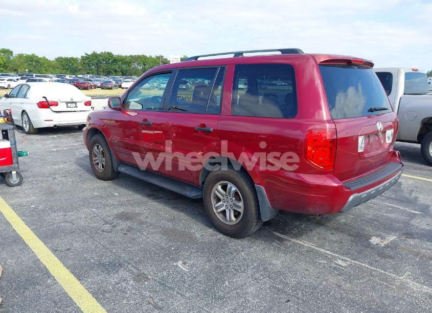 Photo 3 of 2005 Honda Pilot EX-L (VIN 5FNYF186X5B028381)